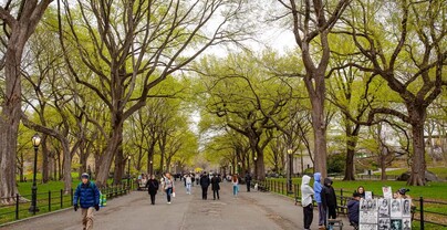 Mujer de 63 a&ntilde;os muere golpeada en Central Park; arrestan a un sospechoso por homicidio