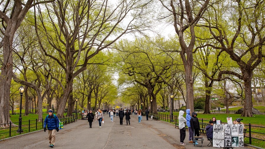 Mujer de 63 a&ntilde;os muere golpeada en Central Park; arrestan a un sospechoso por homicidio