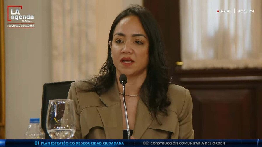 Faride reconoce que percepci&oacute;n de inseguridad persiste en el pa&iacute;s, pese a reducci&oacute;n de homicidios