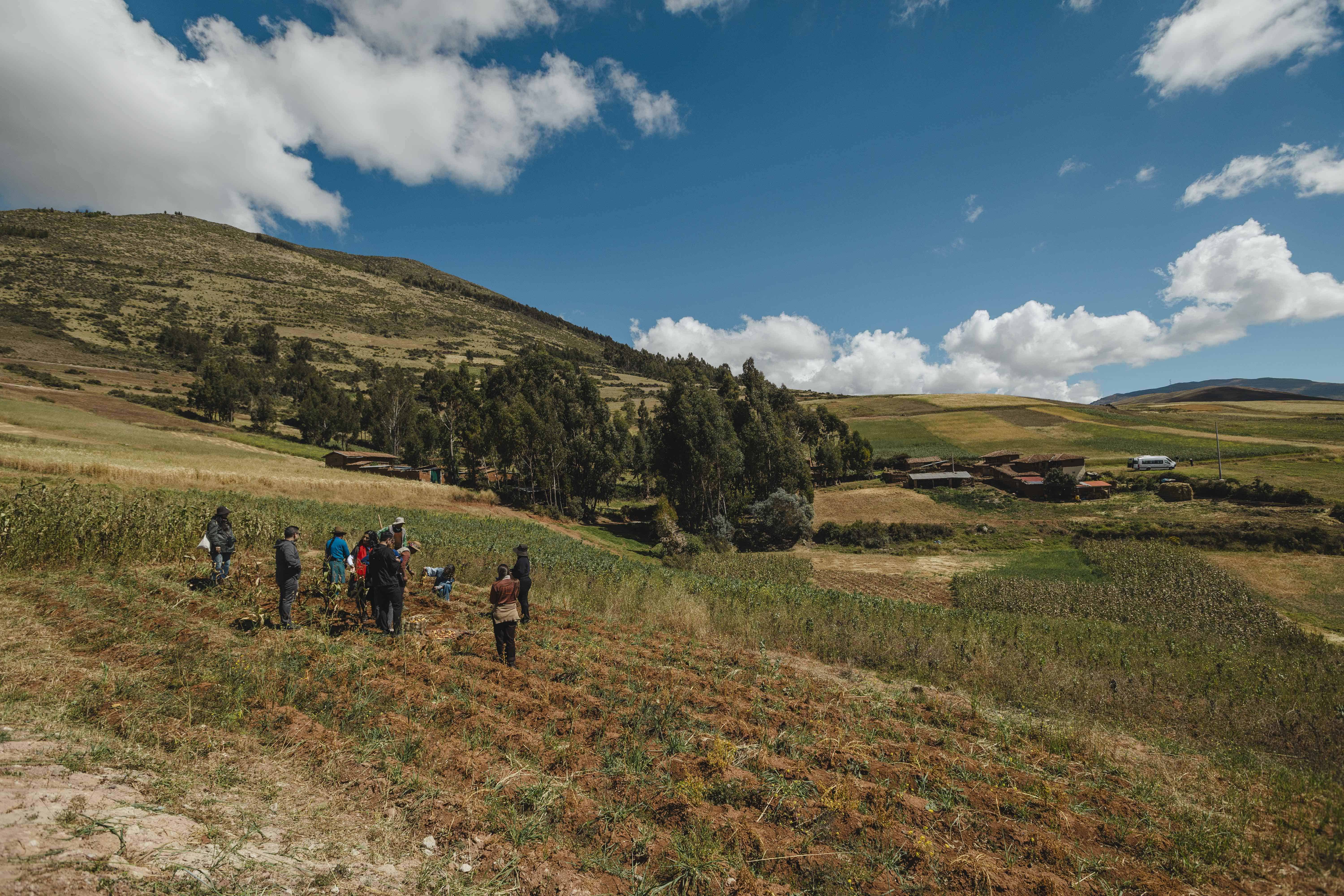 La cocina de Kjolle est&aacute; profundamente conectada con los productos y ecosistemas del Per&uacute;.
