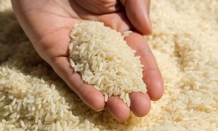 Arroz y seguridad alimentaria hemisf&eacute;rica