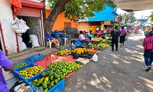 Mercado de Barahona sigue entre insalubridad y desorden; comerciantes reclaman nueva plaza