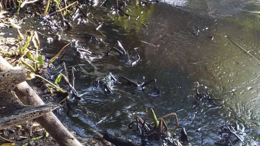 Pescadores luchan contra derrames de crudo en plena reactivación petrolera en Venezuela