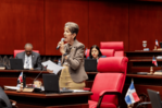 Senado conforma comisiones para estudiar el Presupuesto General del Estado y el Código Civil Senado conforma comisiones para estudiar el Presupuesto General del Estado y el Código Civil