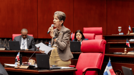 Senado conforma comisiones para estudiar el Presupuesto General del Estado y el C&oacute;digo Civil