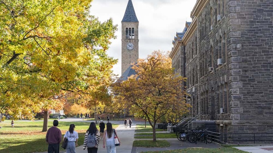 Cornell apoya reformar la ley de delitos sexuales de Nueva York tras caso de violación grupal Cornell apoya reformar la ley de delitos sexuales de Nueva York tras caso de violación grupal
