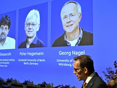 Tres Nobel pioneros en la optogenética que revoluciona neurociencia