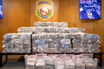 El "narcomono" hallado entre pacas de cocaína ahora podría vivir en el Zoológico El "narcomono" hallado entre pacas de cocaína ahora podría vivir en el Zoológico