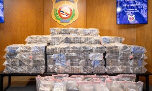 El "narcomono" hallado entre pacas de coca&iacute;na ahora podr&iacute;a vivir en el Zool&oacute;gico