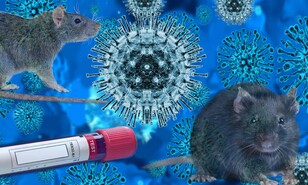 El virus de los Andes (ANDV) y el futuro de la humanidad