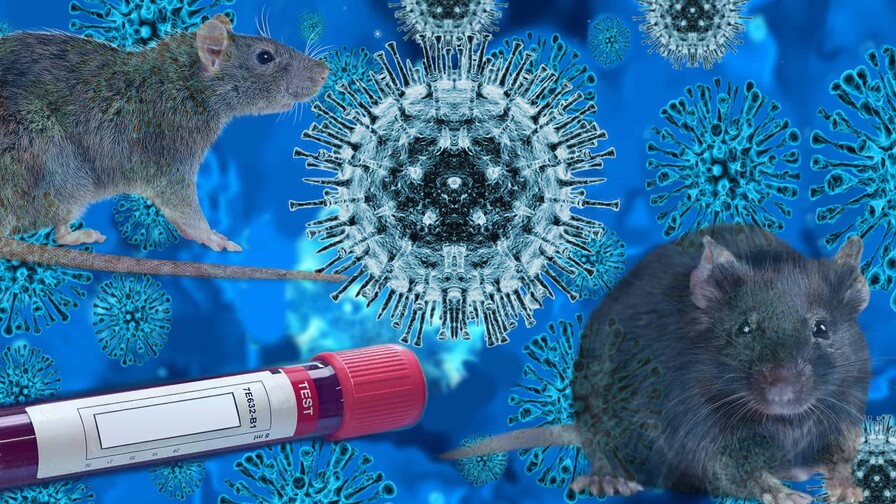 El virus de los Andes (ANDV) y el futuro de la humanidad