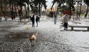 Una granizada viste de blanco la capital colombiana y retrasa vuelos por baja visibilidad