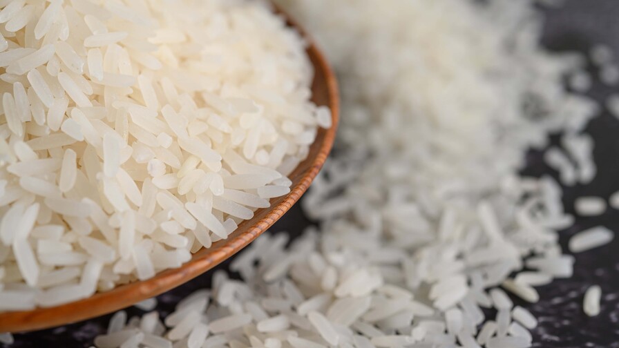 La salvaguarda frente al DR-Cafta se acabó: ¿en qué posición está el arroz dominicano ahora? La salvaguarda frente al DR-Cafta se acabó: ¿en qué posición está el arroz dominicano ahora?