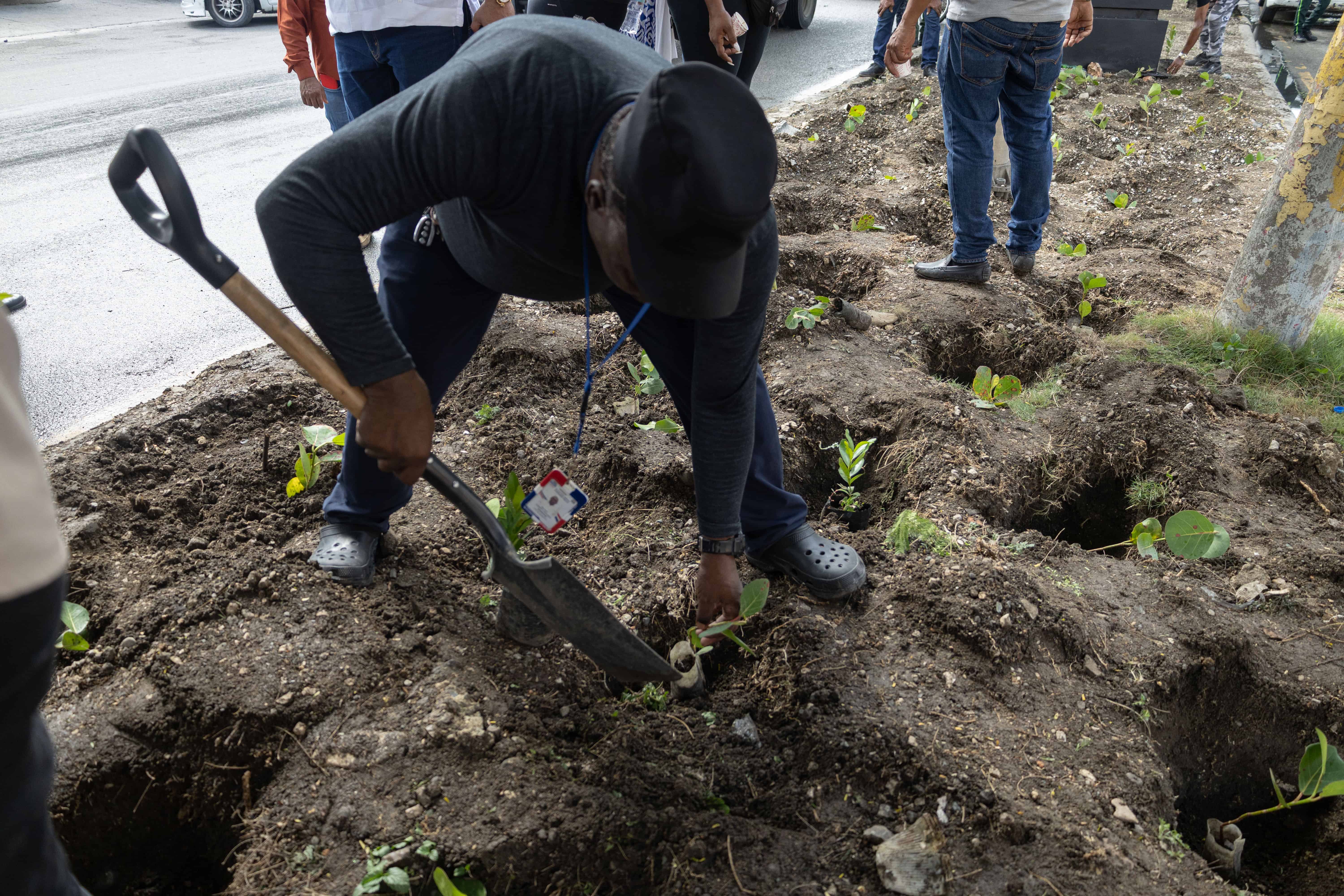 Un trabajador de la Alcald&iacute;a en siembra.