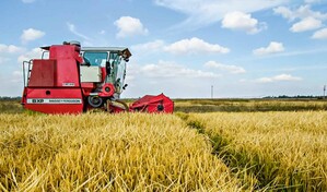 El arroz estadounidense compite con respaldo del presupuesto