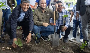 Alcald&iacute;a de Santo Domingo Oeste comienza programa que plantar&aacute; 10,000 &aacute;rboles