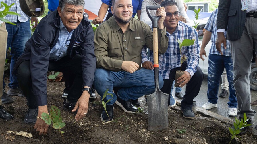 Alcald&iacute;a de Santo Domingo Oeste comienza programa que plantar&aacute; 10,000 &aacute;rboles
