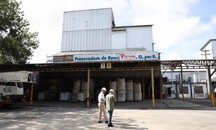 Arroz dominicano: la productividad como defensa