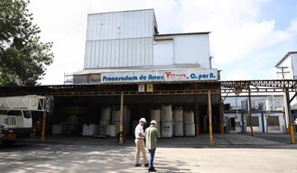 Arroz dominicano: la productividad como defensa
