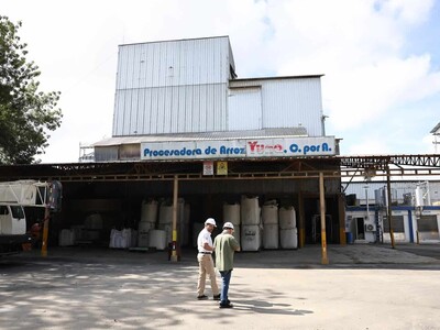 Arroz dominicano: productividad como defensa