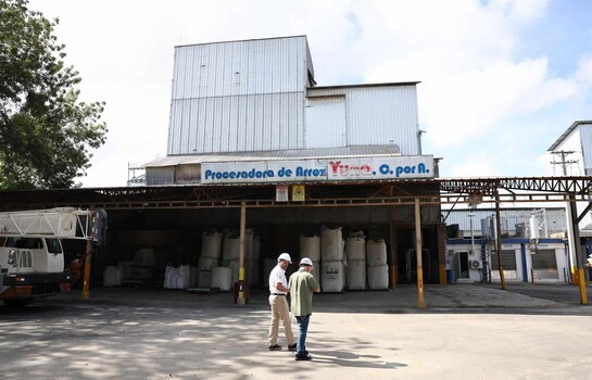 Arroz dominicano: la productividad como defensa