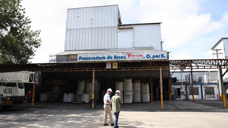 Arroz dominicano: la productividad como defensa Arroz dominicano: la productividad como defensa