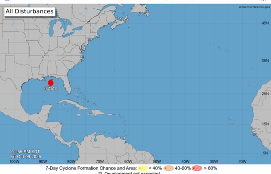 El estado de Georgia declara la emergencia por el impacto del hurac&aacute;n Isa&iacute;as en EE. UU.