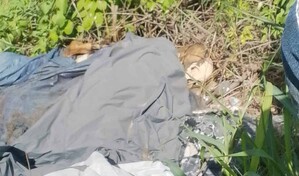 Hallan osamenta humana cerca de la Circunvalaci&oacute;n Norte de Santiago