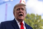 Jueza ordena detener tala de &aacute;rboles en campo de golf que Trump quiere renovar