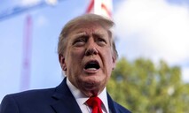 Jueza ordena detener tala de &aacute;rboles en campo de golf que Trump quiere renovar