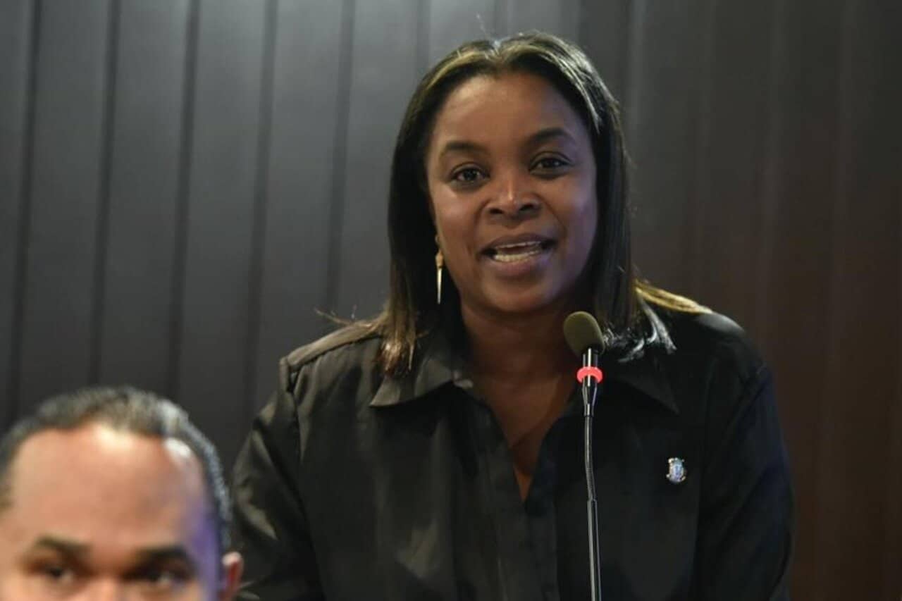Abandonan sesión en apoyo tras el incidente diputada Millys Martínez - Diario Libre