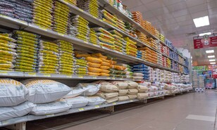 Los arroceros en EE. UU. celebran el arancel cero, pero cuestionan licencias de importaci&oacute;n en RD