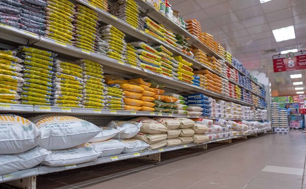 Los arroceros en EE. UU. celebran el arancel cero, pero cuestionan licencias de importaci&oacute;n en RD