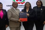 La Ley Mirabal propone hasta 40 años de cárcel contra quien mate a hijos para castigar a madres La Ley Mirabal propone hasta 40 años de cárcel contra quien mate a hijos para castigar a madres