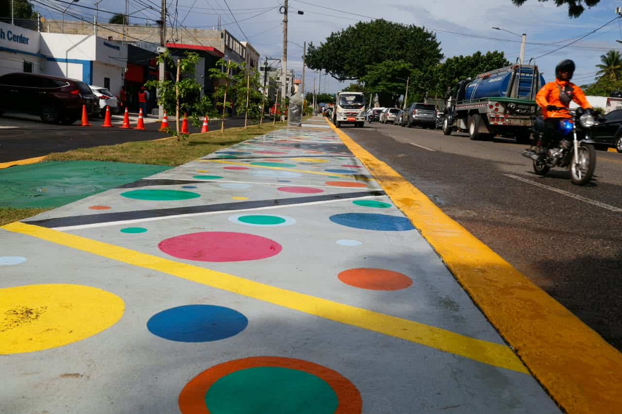 La obra fue dedicada al dirigente comunitario Rafael Castillo.&nbsp;