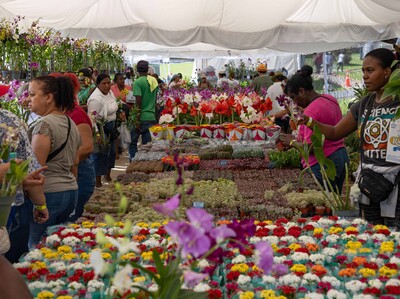 Jardín Botánico Nacional celebra festival nacional de plantas y flores