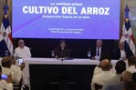 Gobierno promete medidas, pero productores siguen preocupados por presi&oacute;n del arroz estadounidense