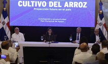 Gobierno promete medidas, pero productores siguen preocupados por presi&oacute;n del arroz estadounidense