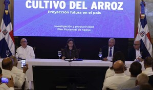 Gobierno promete medidas, pero productores siguen preocupados por presi&oacute;n del arroz estadounidense