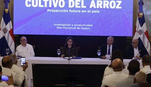 Gobierno promete medidas, pero productores siguen preocupados por presi&oacute;n del arroz estadounidense