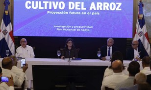 Gobierno promete medidas, pero productores siguen preocupados por presi&oacute;n del arroz estadounidense