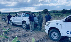 Migraci&oacute;n detecta cerca de 700 extranjeros irregulares en fincas agr&iacute;colas del pa&iacute;s