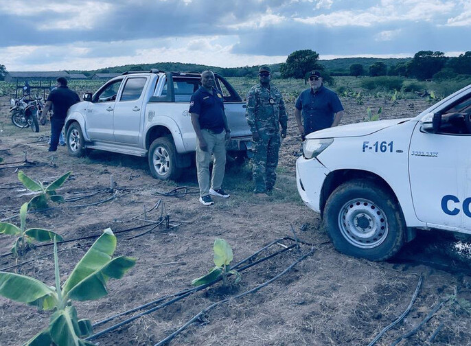 Migración detecta cerca de 700 extranjeros irregulares en fincas agrícolas del país Migración detecta cerca de 700 extranjeros irregulares en fincas agrícolas del país
