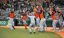 LIDOM: Posiciones y resultados de la pelota invernal dominicana d&iacute;a al d&iacute;a