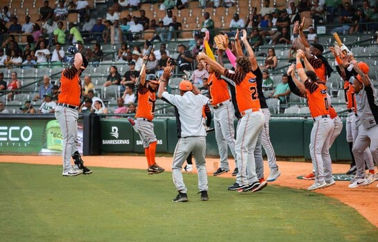 LIDOM: Posiciones y resultados de la pelota invernal dominicana d&iacute;a al d&iacute;a