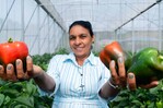 Mujeres rurales en República Dominicana enfrentan más pobreza y menos empleo
