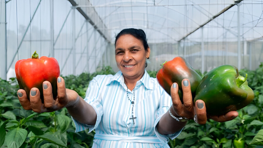 Mujeres rurales en República Dominicana enfrentan más pobreza y menos empleo Mujeres rurales en República Dominicana enfrentan más pobreza y menos empleo