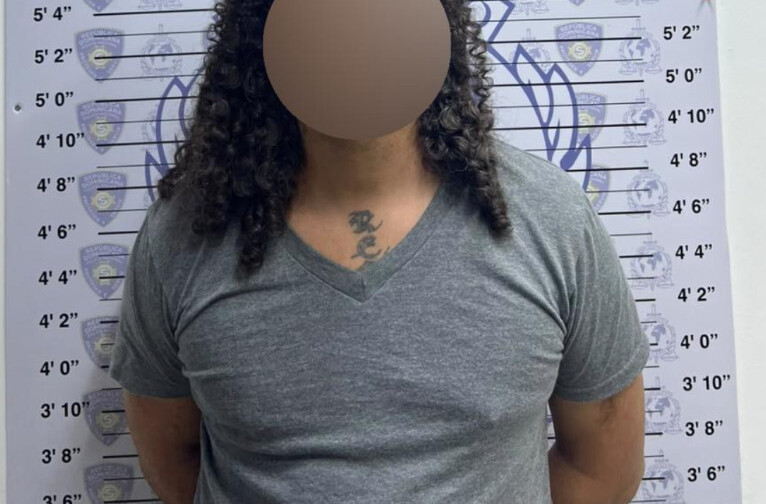 Polic&iacute;a apresa en Herrera a dominicano-neerland&eacute;s requerido por Francia por lavado de activos