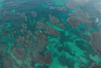 Exministros de Medio Ambiente piden acelerar protección de la biodiversidad mundial Exministros de Medio Ambiente piden acelerar protección de la biodiversidad mundial