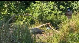 Encuentran cad&aacute;ver en Nagua; presumen corresponde a joven desaparecido hace 16 d&iacute;as